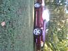 88 mustang gt, convertable...goodies!! 3700-sangy.jpg