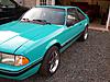 My Mustang for your ??-026.jpg