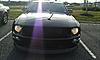 2009 Ford Mustang GT- low miles.-322302_10150412052651720_518806719_8951420_1865081087_o.jpg