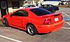 2004 Mustang GT V8 59k miles!-5lc5k35je3g63f93h1c1gdcf2ace89aee157c.jpg