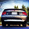 2003 Ford Mustang GT Premium-image.jpg