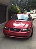 2001 Mustang v6-5.jpg