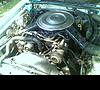 1985 Ford Mustang LX 5.0-0807081354a.jpg