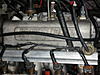 D series Jackson Racing Supercharger-dscn1602.jpg