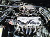 1995 Honda Accord, Tuned-e1.jpg