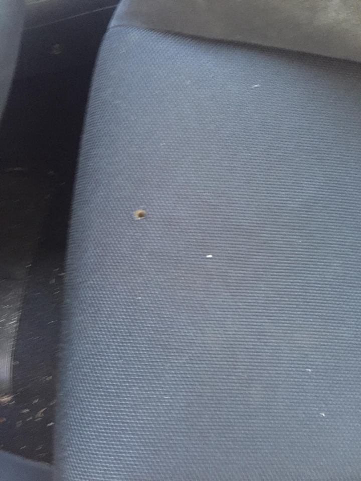 Name: eeAyy7J.jpg
Views: 164
Size: 88.2 KB