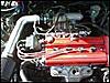 1998 Acura Integra LS FREASH-3od3p83le1171f912291hca17f9a3263118c1.jpg