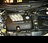 FS/FT 1999 VW New Beetle-bug5.jpg