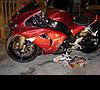 fs 06 zx10 need body and gas tank 5900 obo-dsc00818.jpg