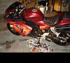 fs 06 zx10 need body and gas tank 5900 obo-dsc00819.jpg