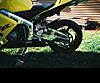2003 cbr600 RR head turner 00!! ready for summer-y.jpg