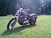 2008 Harley Sportster xl1200c Very Clean-downsized_0722091649.jpg