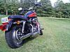 2008 Harley Sportster xl1200c Very Clean-downsized_0722091650a.jpg