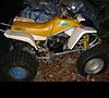 1991 yamaha blaster-img_0340-samll.jpg