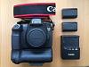 Canon 6D DSLR body with battery grip-image.jpg