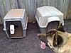 Doghouse and Carrier-0329090001.jpg