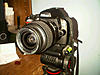Nikon D40 with Kit lens and Sigma 70-300mm lens-nikon1.jpg