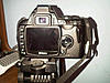 Nikon D40 with Kit lens and Sigma 70-300mm lens-nikon2.jpg