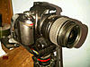 Nikon D40 with Kit lens and Sigma 70-300mm lens-nikon4.jpg