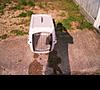 MED DOG CRATE WITH EXTRAS.. (CHEAP)-new-things-009.jpg