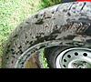 17 inch fusion tire-matts-pics-016.jpg